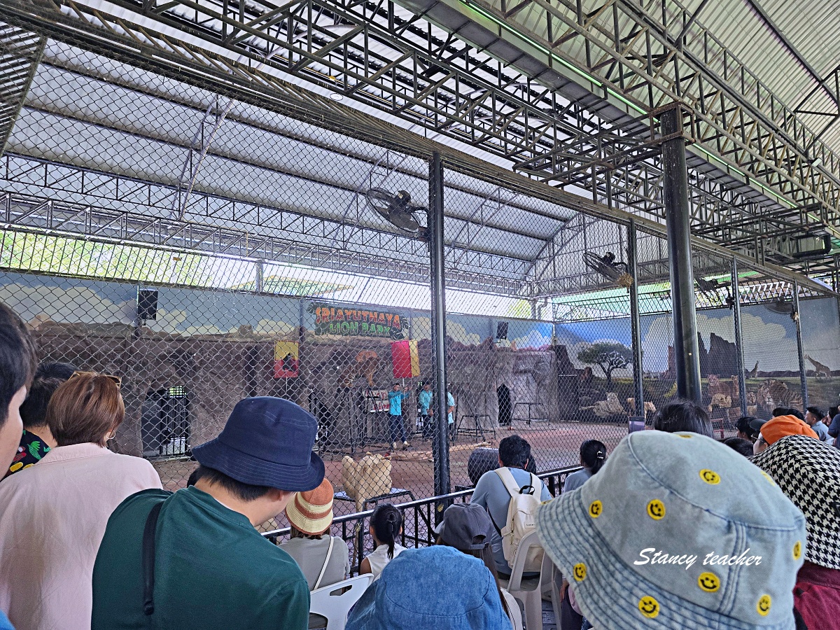 泰國大城動物園 Sriayuthaya Lion Park｜曼谷近郊親子景點，長頸鹿互動、卡皮巴拉餵食、票價交通攻略