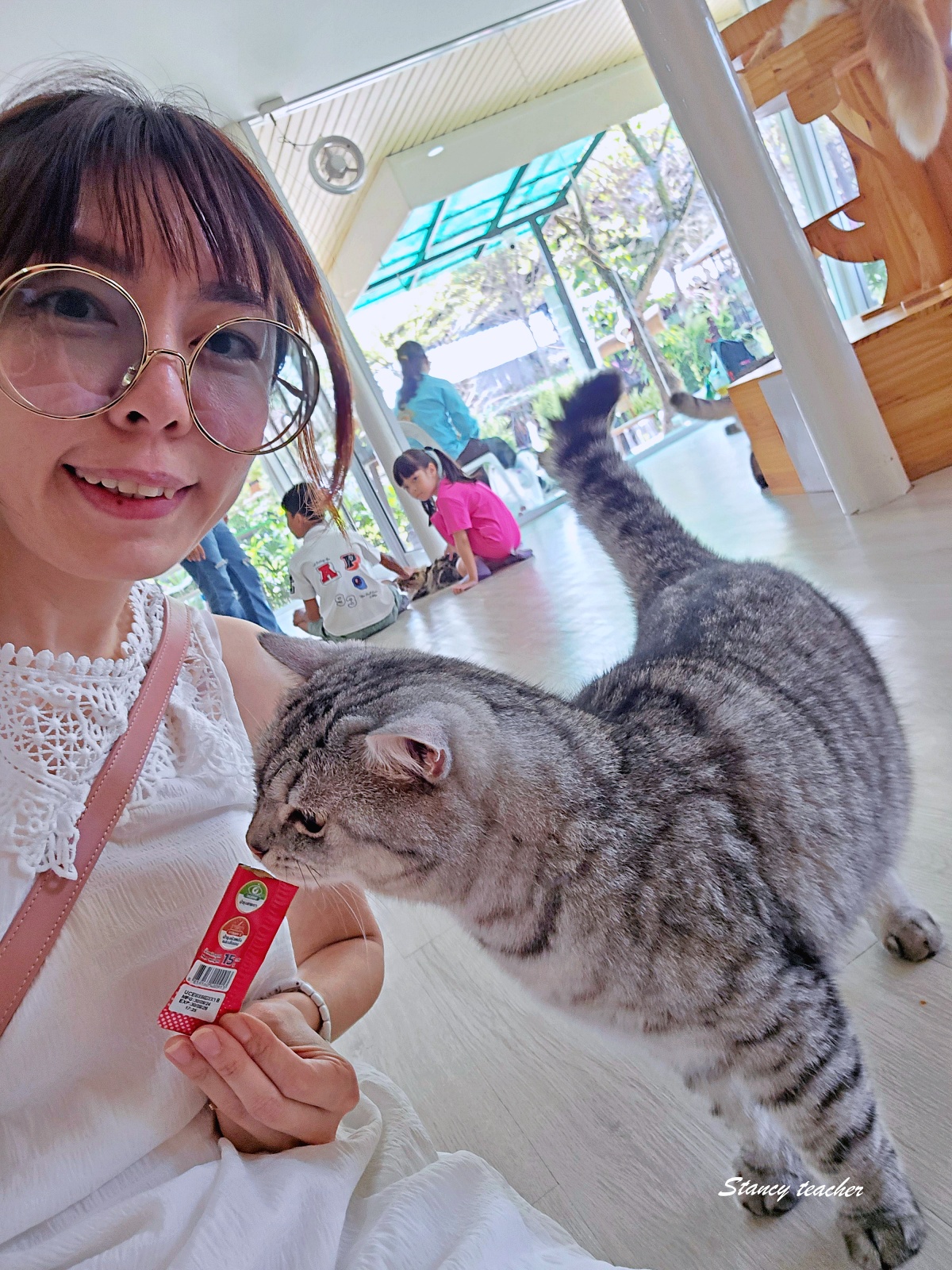 泰國大城動物園 Sriayuthaya Lion Park｜曼谷近郊親子景點，長頸鹿互動、卡皮巴拉餵食、票價交通攻略