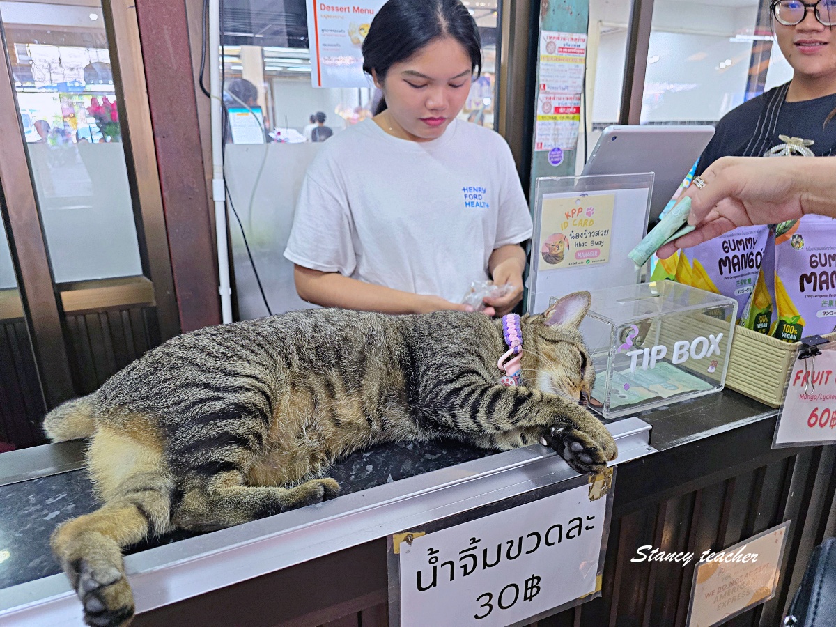 大城泰國蝦餐廳推薦|Kung Phuean Praew 現撈活蝦、炭烤大頭蝦,大城中央市場必吃美食 大城泰國蝦餐廳推薦|Kung Phuean Praew 現撈活蝦、炭烤大頭蝦,大城中央市場必吃美食