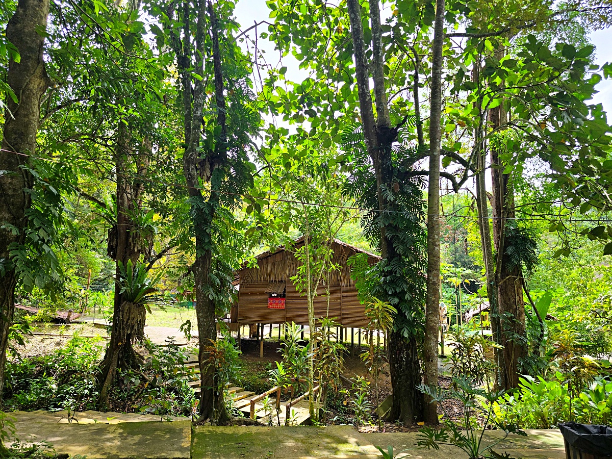 【沙巴原住民文化村】馬里馬里文化村 Mari Mari Cultural Village:亞庇半日遊親子景點推薦 【沙巴原住民文化村】馬里馬里文化村 Mari Mari Cultural Village:亞庇半日遊親子景點推薦
