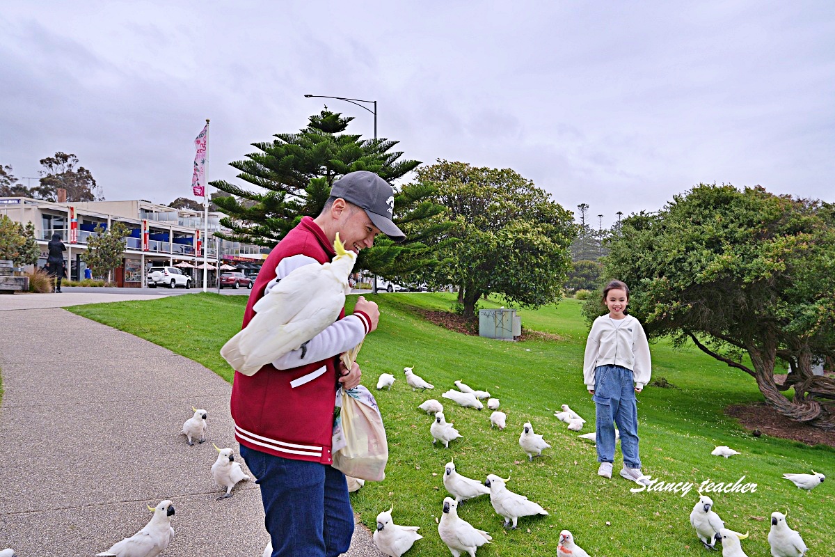 大洋路阿波羅灣酒廠餐廳推薦｜Apollo Bay Distillery 必吃披薩炸物，順遊公園看澳洲鸚鵡