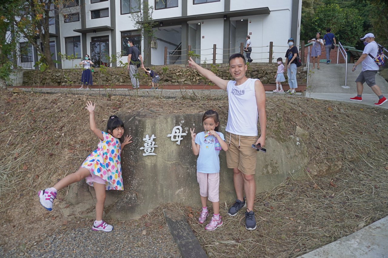 阿姆坪薑母島一日遊｜石門水庫搭船遊湖秘境，交通船票與親子玩法整理