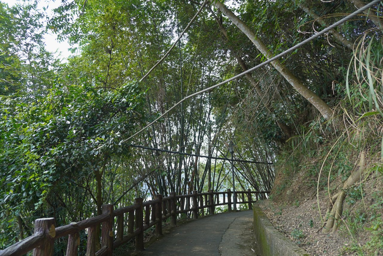 阿姆坪薑母島一日遊｜石門水庫搭船遊湖秘境，交通船票與親子玩法整理