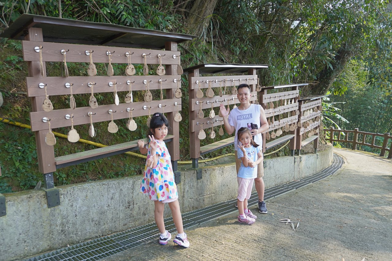 阿姆坪薑母島一日遊｜石門水庫搭船遊湖秘境，交通船票與親子玩法整理