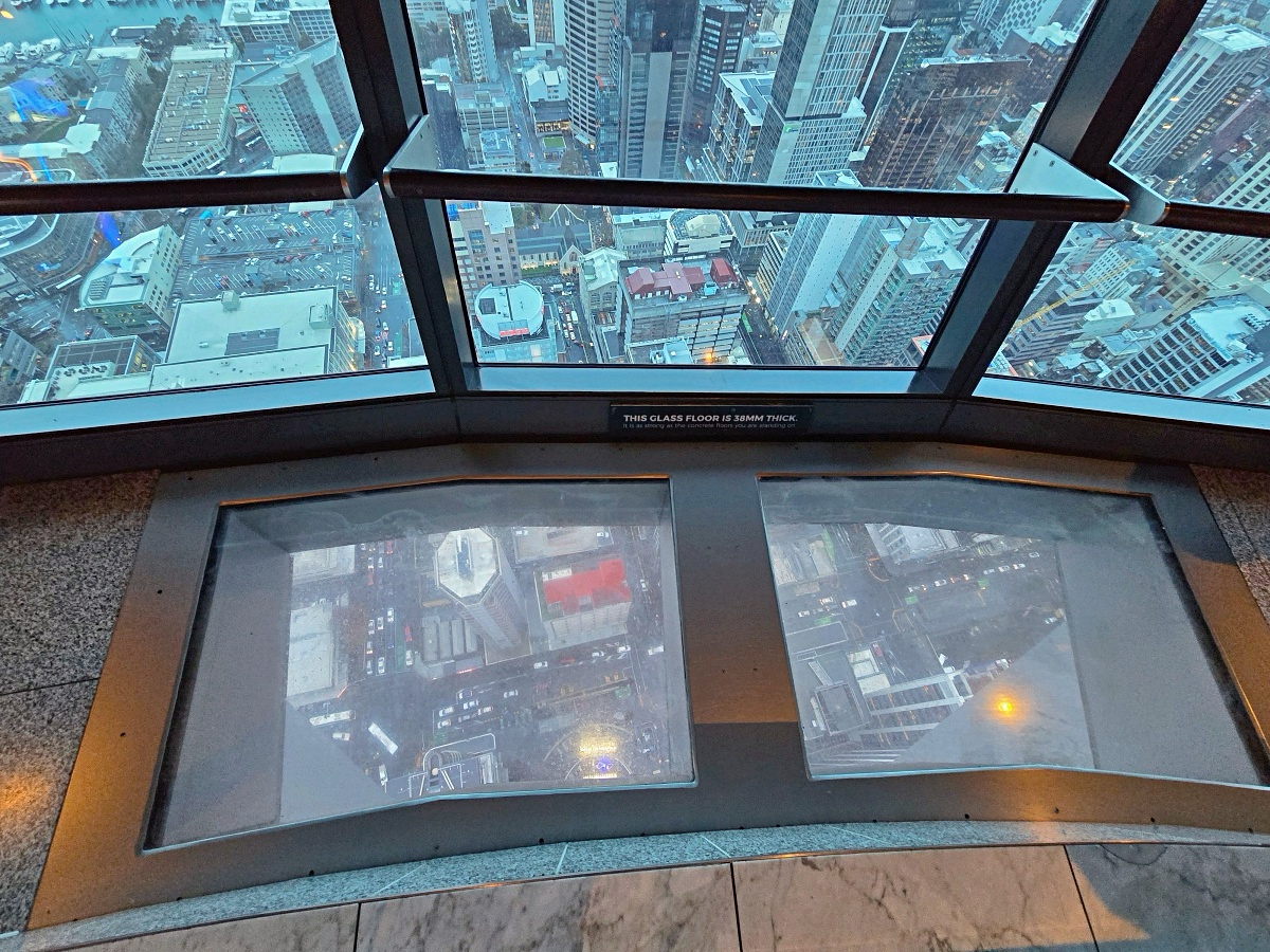 紐西蘭北島景點｜奧克蘭天空塔 Sky Tower，高空觀景台、透明玻璃地板與 Fortuna 自助餐