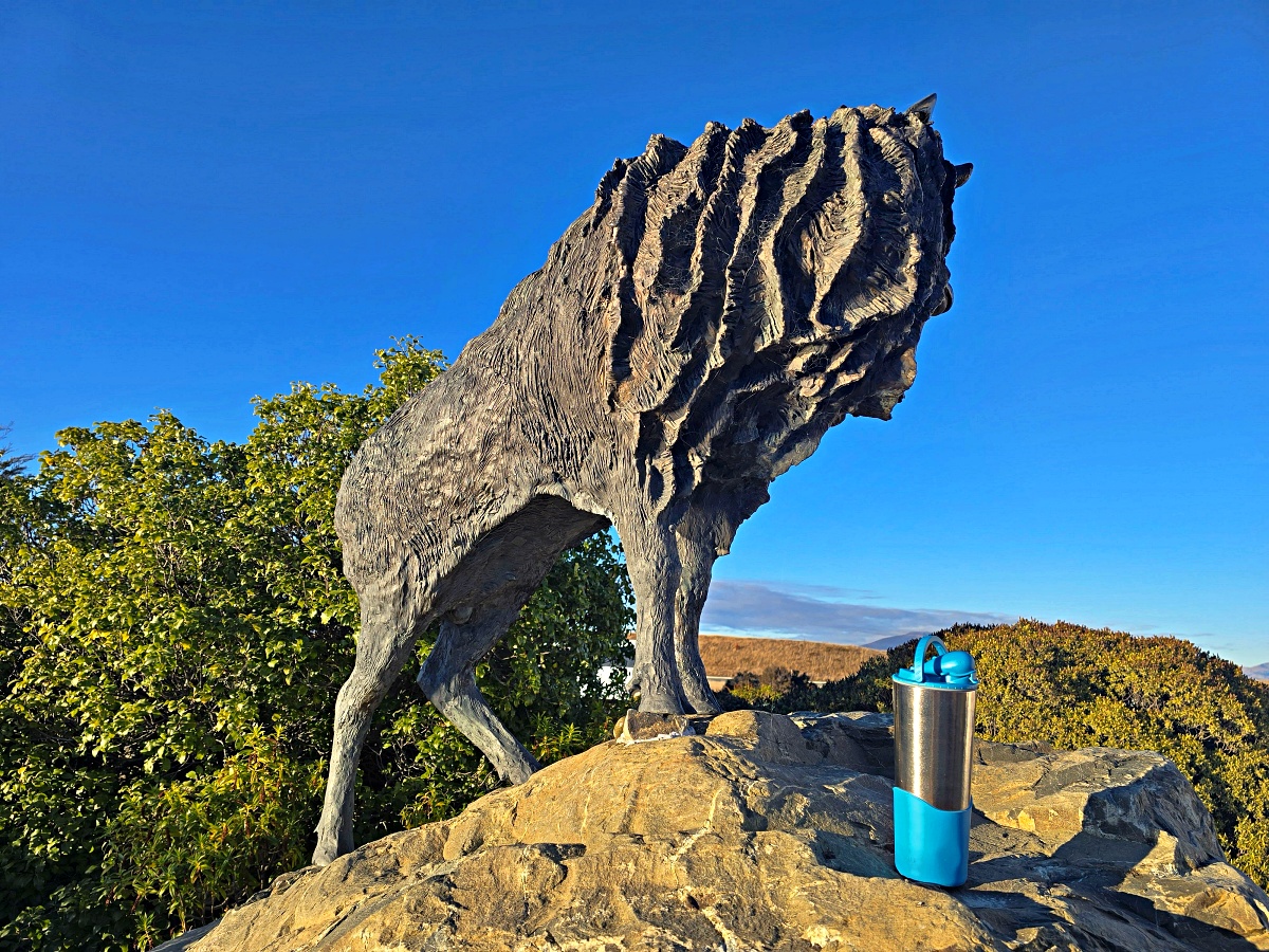 紐西蘭南島景點｜普卡基湖 Lake Pukaki Visitor Centre，雪山湖景配帝王鮭生魚片