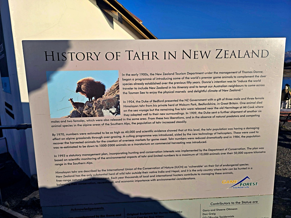 紐西蘭南島景點|普卡基湖 Lake Pukaki Visitor Centre,雪山湖景配帝王鮭生魚片 紐西蘭南島景點|普卡基湖 Lake Pukaki Visitor Centre,雪山湖景配帝王鮭生魚片