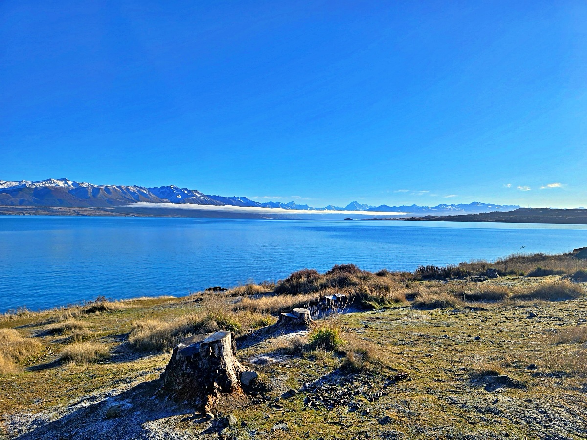 紐西蘭南島景點|普卡基湖 Lake Pukaki Visitor Centre,雪山湖景配帝王鮭生魚片 紐西蘭南島景點|普卡基湖 Lake Pukaki Visitor Centre,雪山湖景配帝王鮭生魚片