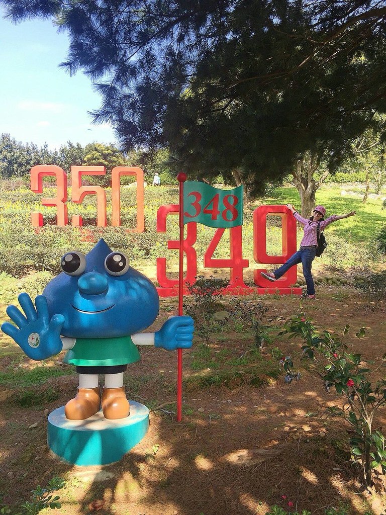 66521.jpg